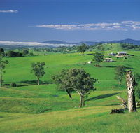 Bemboka - Accommodation Bookings