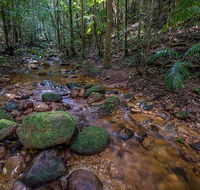Starrs Creek picnic area - Accommodation Bookings