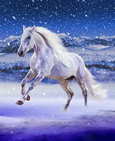 Australian Outback Spectacular: High Country Legends - Accommodation Bookings 1