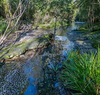 Dawson River walking track - Accommodation Bookings