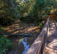 Ms Kellys walking track - Accommodation Bookings