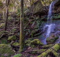 Coorabakh National Park - Accommodation Bookings