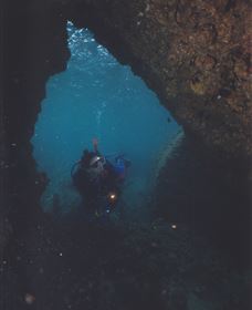 Tangalooma Wrecks Dive Site - Accommodation Bookings 1