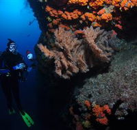 Gotham City Dive Site