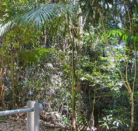 Goorgana walking track - Accommodation Bookings