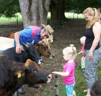 Crystal Creek Miniatures - Accommodation Bookings