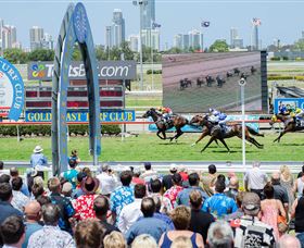 Gold Coast Turf Club - Accommodation Bookings 0