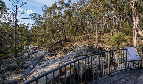 Myanba Gorge Walking Track - Accommodation Bookings 0