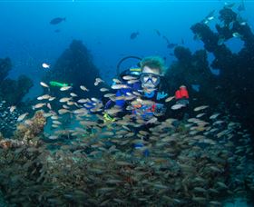 Aarhus Dive Site - Accommodation Bookings 0