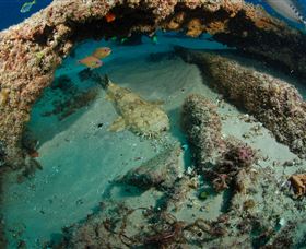 Aarhus Dive Site - Accommodation Bookings 3