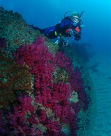 Aarhus Dive Site - Accommodation Bookings 2