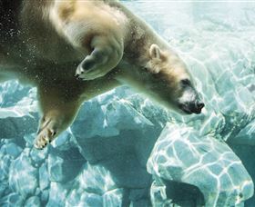 Australia's Sea World - Accommodation Bookings 0