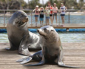 Australia's Sea World - Accommodation Bookings 1