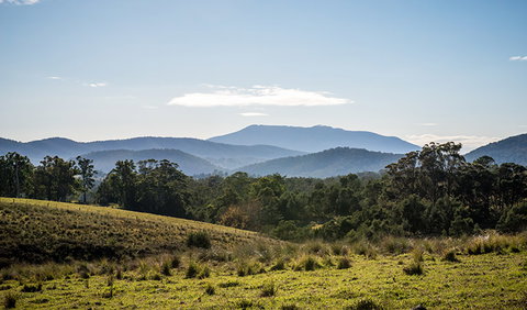 Biamanga National Park - Accommodation Bookings 3