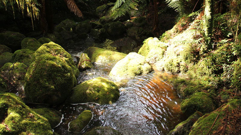South Coast NSW Accommodation Bookings