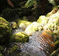South East Forests National Park - Accommodation Bookings
