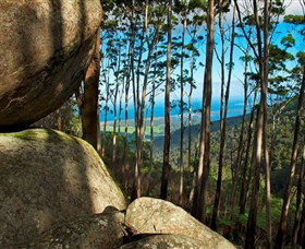 Mount Gulaga (Mount Dromedary) Walk - Accommodation Bookings 0