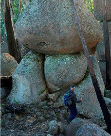 Mount Gulaga (Mount Dromedary) Walk - Accommodation Bookings 1