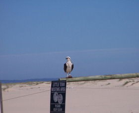 Manning Entrance State Park - Accommodation Bookings 1