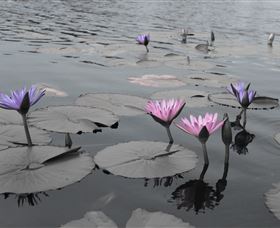Abundance Lifestyle And Garden - Accommodation Bookings 8
