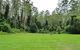 Kerewong State Forest - thumb 0