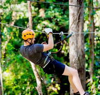 TreeTop Challenge Currumbin - Accommodation Bookings