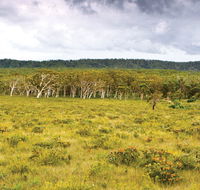 Yuraygir National Park - Accommodation Bookings