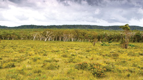 Yuraygir National Park - Accommodation Bookings 0