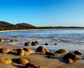 Accommodation Bookings