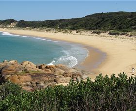 Cape Conran Nature Trail - Accommodation Bookings 1