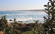 Cape Conran Nature Trail - thumb 0