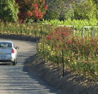 Cassegrain Wines - Accommodation Bookings