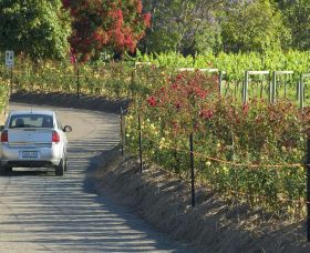 Cassegrain Wines - Accommodation Bookings 0