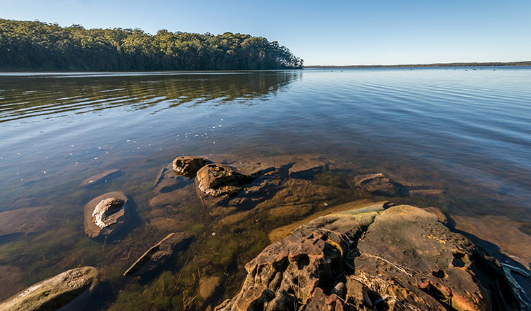 Jolly Nose NSW Accommodation Bookings