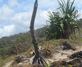 Chinamans Beach Evans Head - Accommodation Bookings 2