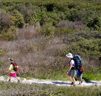 Yuraygir coastal walk - Accommodation Bookings