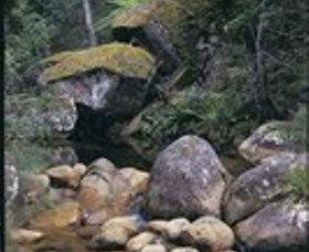 Mumbulla Creek Falls And Picnic Area - Accommodation Bookings 1