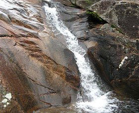 Mumbulla Creek Falls And Picnic Area - Accommodation Bookings 0
