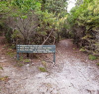 Angophora grove walking track - Accommodation Bookings