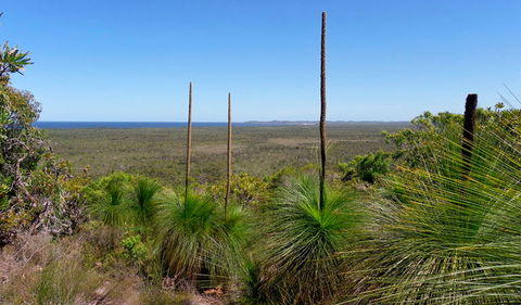 Broadwater National Park - Accommodation Bookings 1