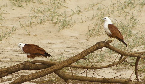 Broadwater National Park - Accommodation Bookings 2