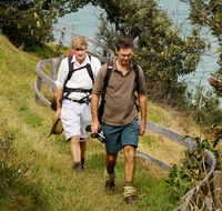 Illaroo to Wooli walking track - Accommodation Bookings