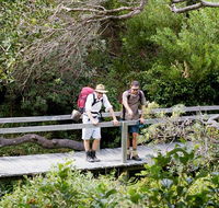 Wilsons Headland walking track - Accommodation Bookings