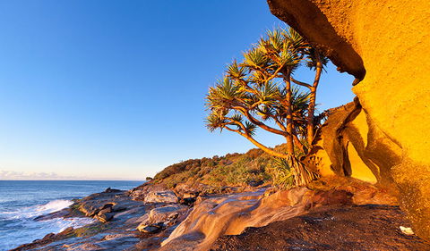 Angourie To Brooms Head - Accommodation Bookings 1
