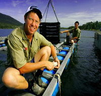 Armstrong Oysters - Accommodation Bookings
