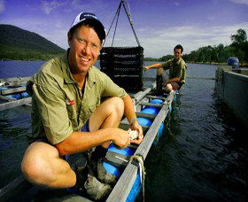 Armstrong Oysters - Accommodation Bookings 0