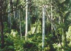 Lind National Park - Accommodation Bookings 0