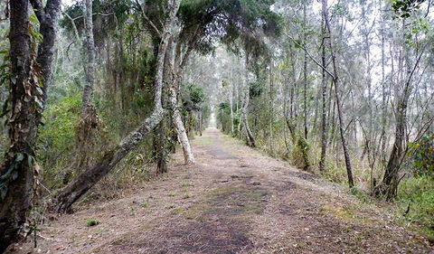 Walk On Water Walking Track - Accommodation Bookings 2