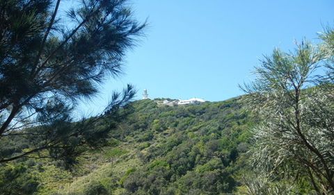 Jack Perkins Walking Track - Accommodation Bookings 3