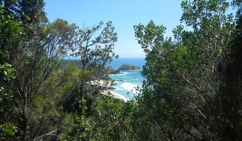 Jack Perkins Walking Track - Accommodation Bookings 1